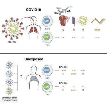 www.sciencedirect.com