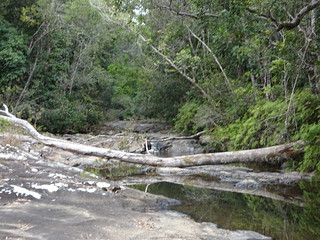42535724680_4c0da6088f_n.jpg