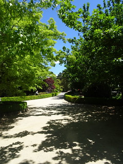 38295948702_09e5d563c7_n.jpg