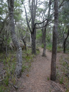 46635336802_42a5124982_n.jpg