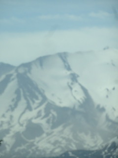 41462581405_d8512ccb5f_n.jpg