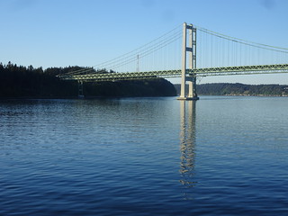 28558626378_503d5643f1_n.jpg