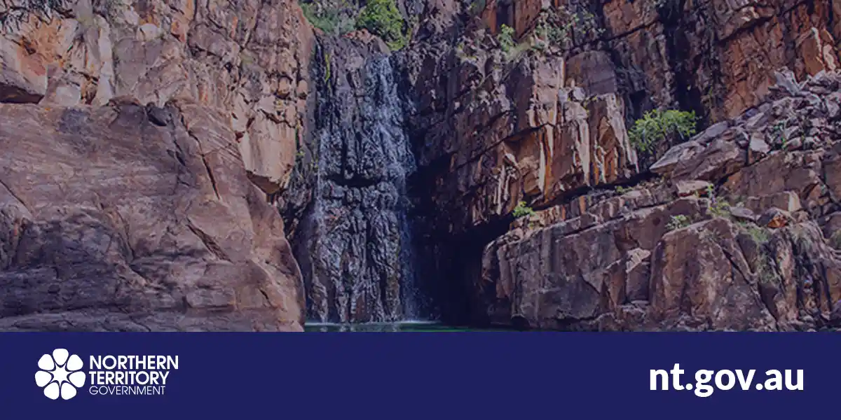 coronavirus.nt.gov.au