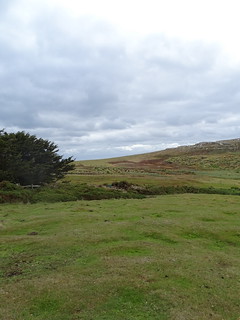33620613606_7ea255da61_n.jpg