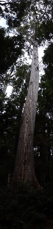 40765950731_e5ed96bc16_c.jpg