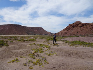 41108141185_6e866fb70c_n.jpg