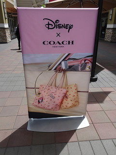 42504567342_cee7c62817_n.jpg