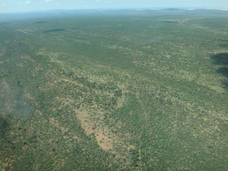 33811742940_450d4830d7_n.jpg
