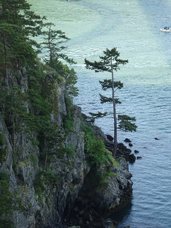 42381772782_3ec8bc337e_n.jpg