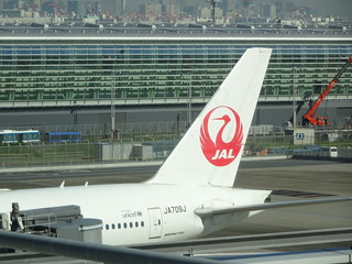 30252645497_c01c69982e_n.jpg