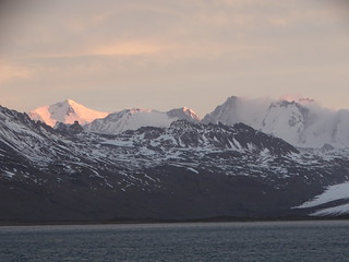 33909390212_8779cfbb81_n.jpg