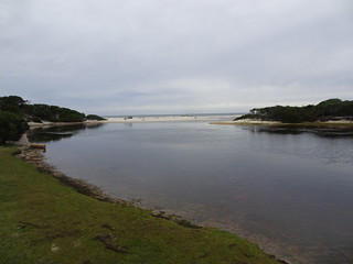 45963357514_d39700e198_n.jpg