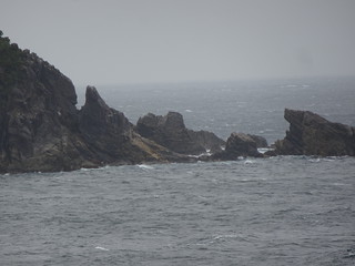 47055544561_d46af76f0b_n.jpg