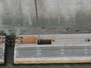29504925955_21964394e9_n.jpg