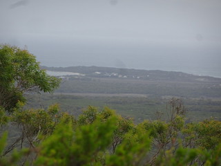 39723256783_403a4683d7_n.jpg