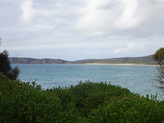 39879007074_facd53f21e_n.jpg