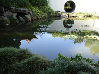 33370013868_92b592c88b_n.jpg