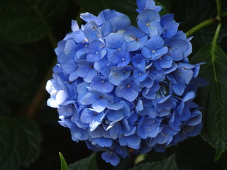 33370010728_4b85ea7c63_n.jpg