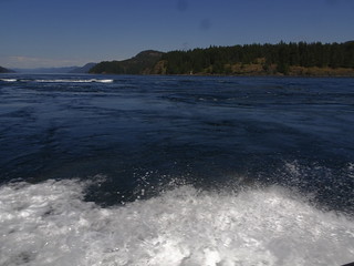 41812351024_2f66ffe35a_n.jpg
