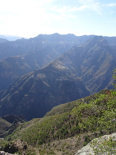 42064977201_33bd7404d7_n.jpg