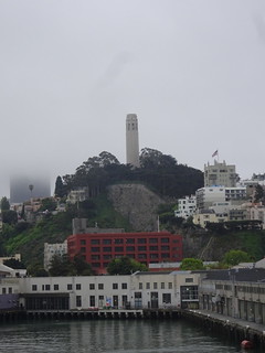 40524516500_965c0d4a69_n.jpg