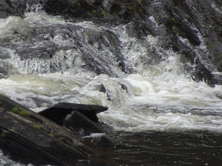 38955932150_46f275766a_n.jpg