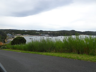 46383424984_ba5dea77fa_n.jpg