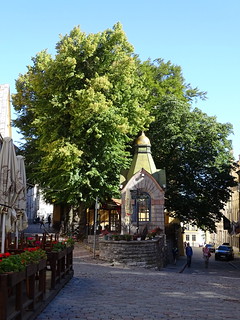 29198574472_5d6e62790c_n.jpg