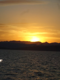 42008435752_f12999bd46_n.jpg