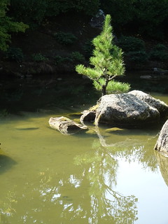 46331248315_11a8404cf5_n.jpg