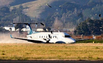 anz_b190_zk-eak_blenheim_070617_1.jpg