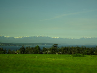 41708720174_abfbc73369_n.jpg