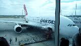 P1010557.jpg