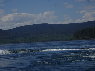 28661803808_b5239ab9f1_n.jpg