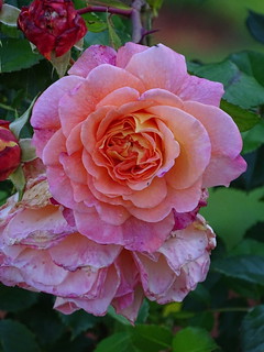 28928402140_3485af1c24_n.jpg