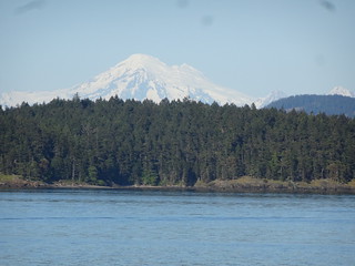 28558610518_4c5a56c8fa_n.jpg