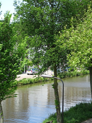 DSC00826.JPG