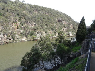 37170804820_d6077b8cd5_n.jpg