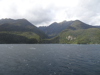47055667081_3fe4998c1d_n.jpg