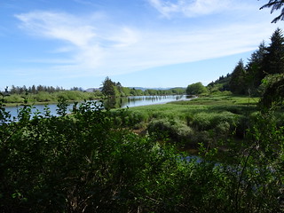 27486605257_c0c6f27540_n.jpg