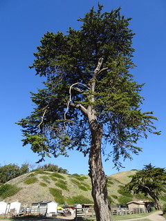 41385948005_3e9886f828_n.jpg