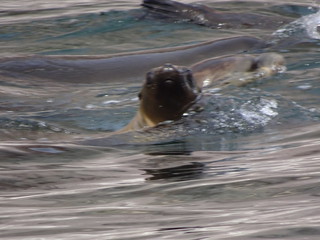 40801280645_32ac94554b_n.jpg