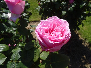 45259926484_c12b0eb032_n.jpg