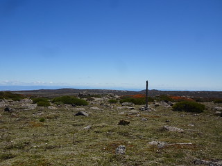32842827568_13aac07633_n.jpg