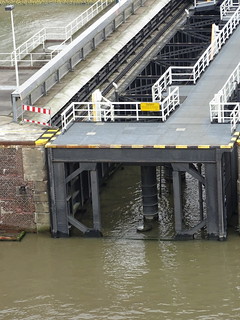 29470594116_4840f05453_n.jpg