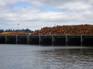 41507253955_010ff2367a_n.jpg