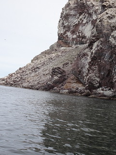 40803564285_50133ab760_n.jpg[