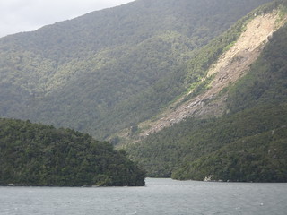 46353909864_96b8d2b87e_n.jpg