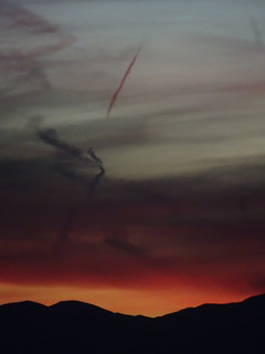 38446578065_93a0135d30_n.jpg