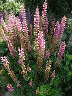 45072148315_e35d5c5526_n.jpg